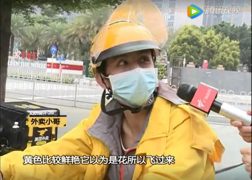 不明小虫咬后奇痒无比,咬人很痒的小黑虫有哪些