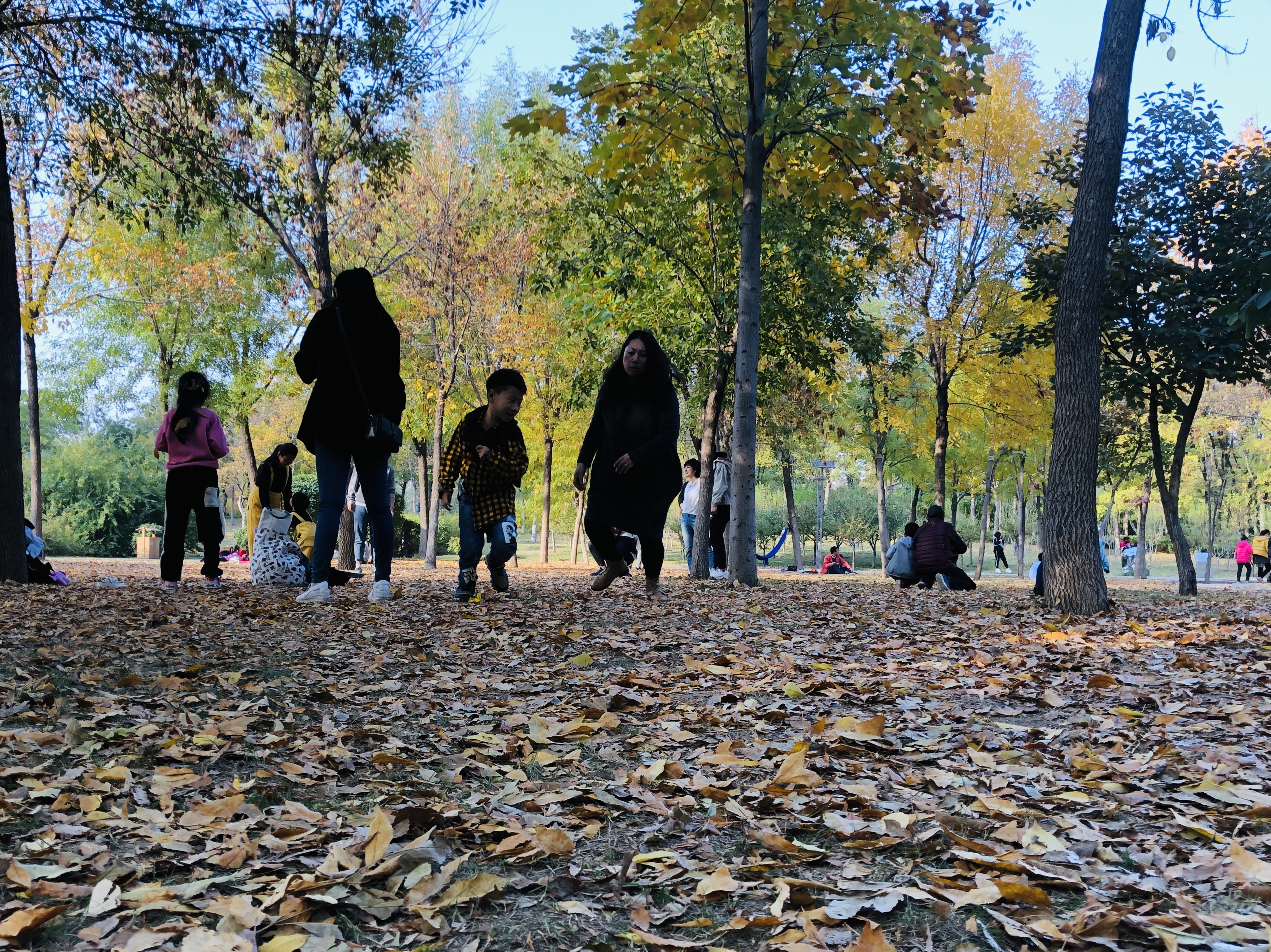 济南森林公园夏荷之美,雨后的济南森林公园美景让人陶醉