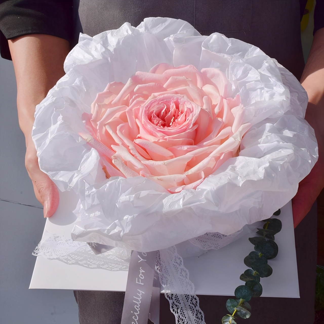 深圳蛇口美食海鲜,深圳蛇口美食街有什么特色