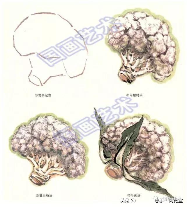 八种常见蔬菜画法,各种蔬菜画法