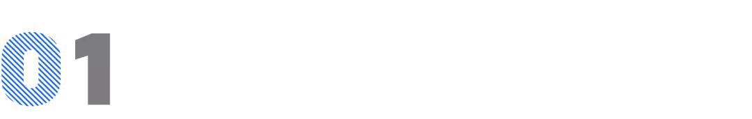 12周年特辑丨打造全产业链招商服务平台，持续推动高能级项目落地