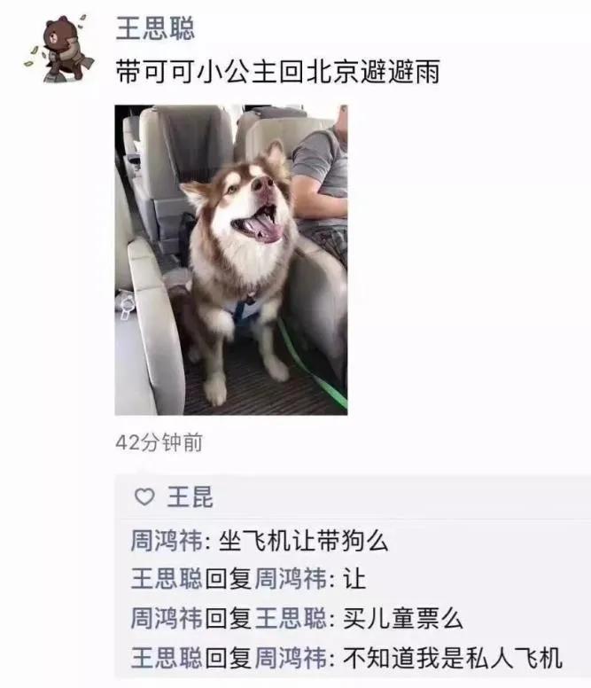 王思聪向女网红频频示好,王思聪被女网红怼的体无完肤