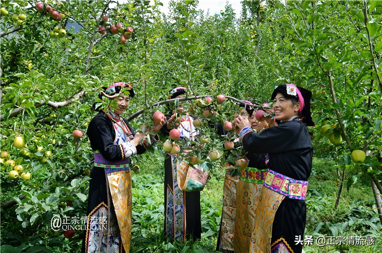 夜色成都串串爽,魅力小金苹果香#国庆中秋趣哪玩#