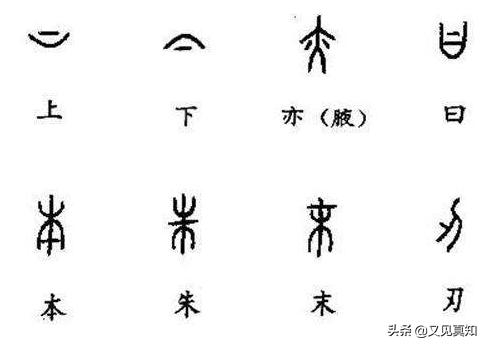 「小升初复习总动员」基础知识全攻略,2—汉字