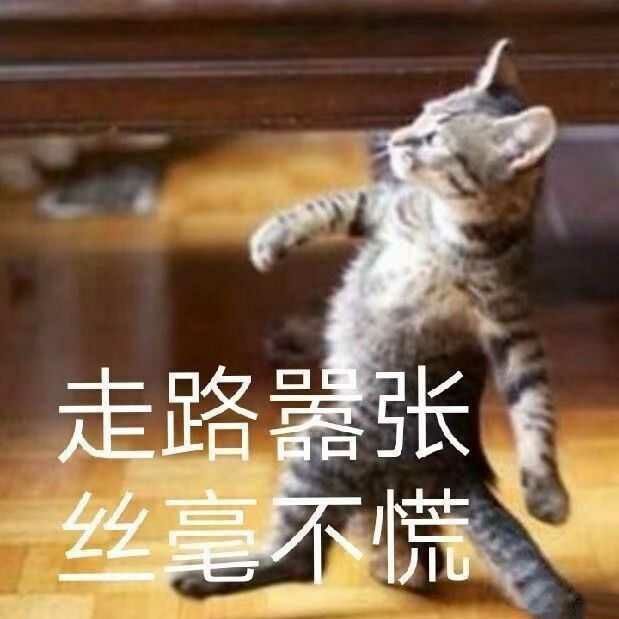 干货！我在头条看知乎万赞推荐bilibili学习up主！