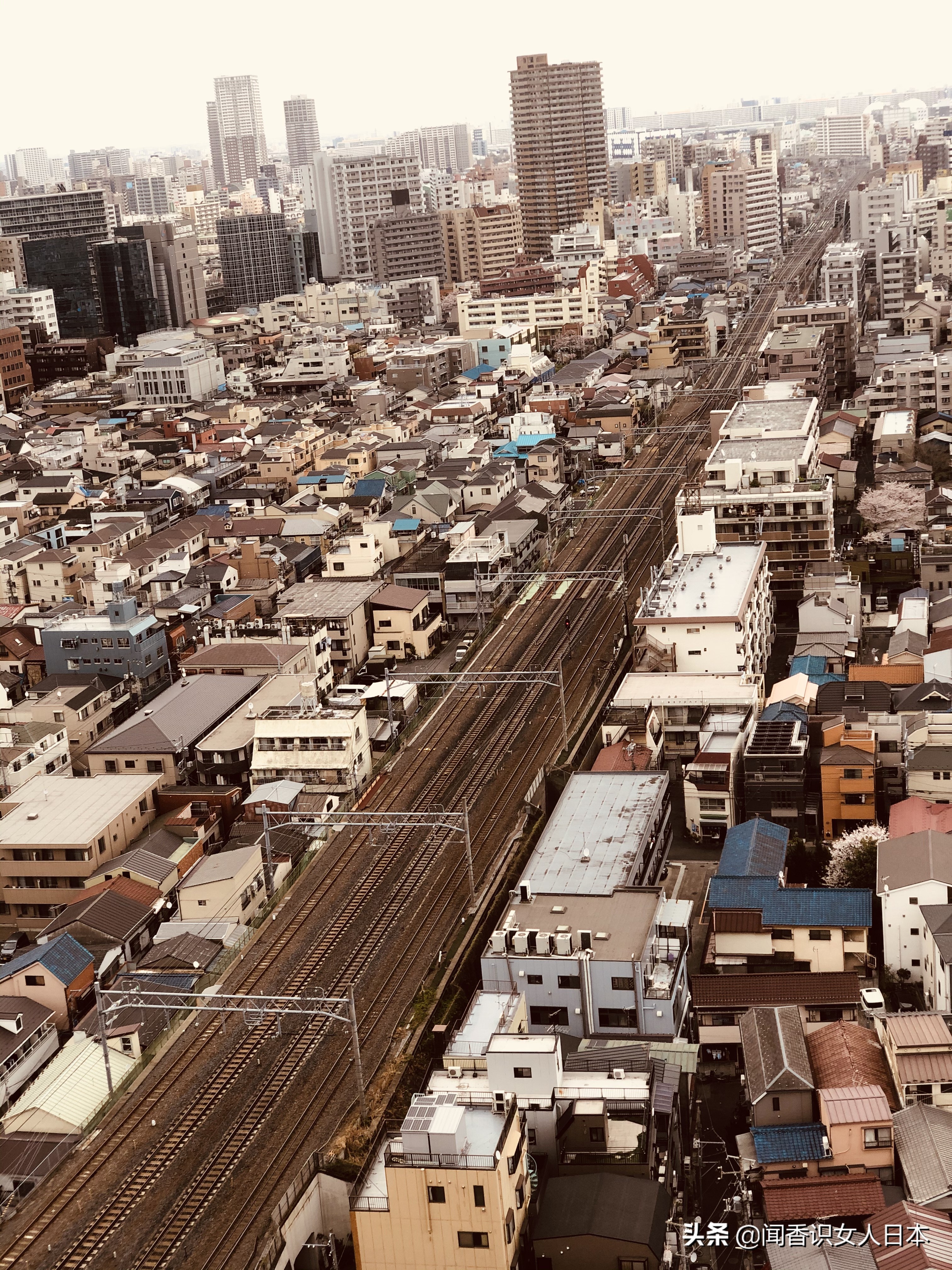 东京都知事是什么,东京都知事全部视频