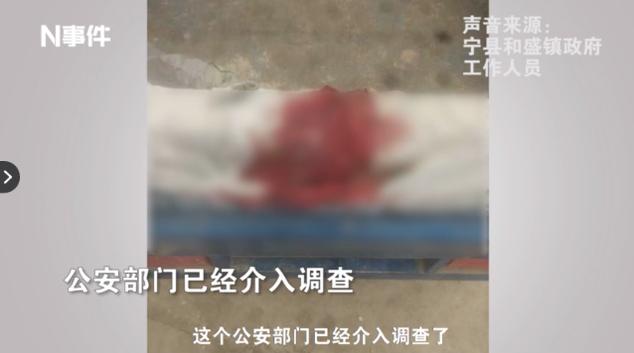 八岁儿童被打最新消息,8岁女童被打完整视频