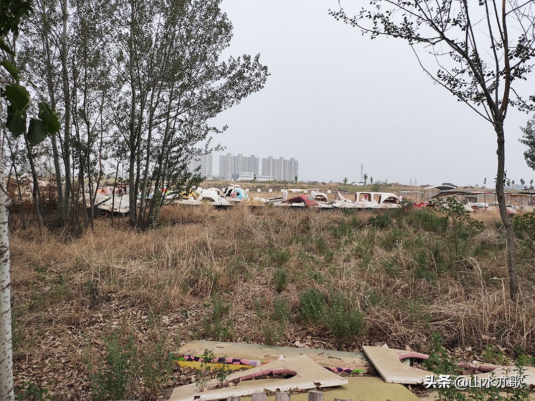 石家庄也有这么漂亮的风景,石家庄橘子洲