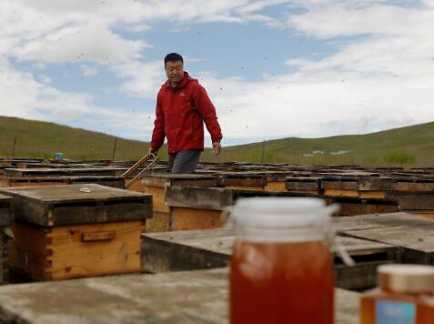 除了蜂蜜水解酒还有什么解酒,蜂蜜水解酒还是蜂蜜柠檬茶解酒