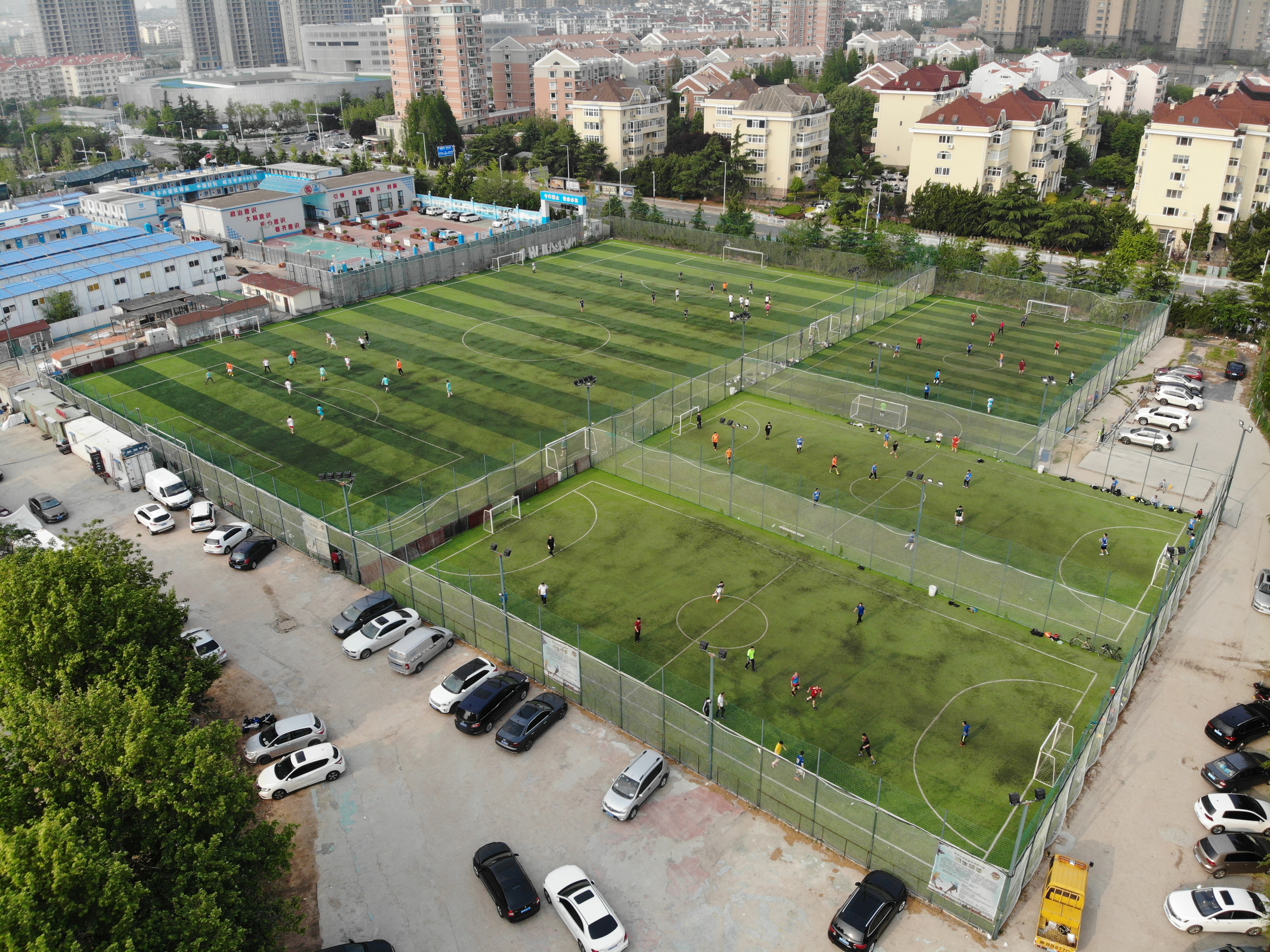 青岛红狮青训,青岛红狮在哪里训练