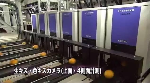 日本农产品销售的“三*法大**宝”是……