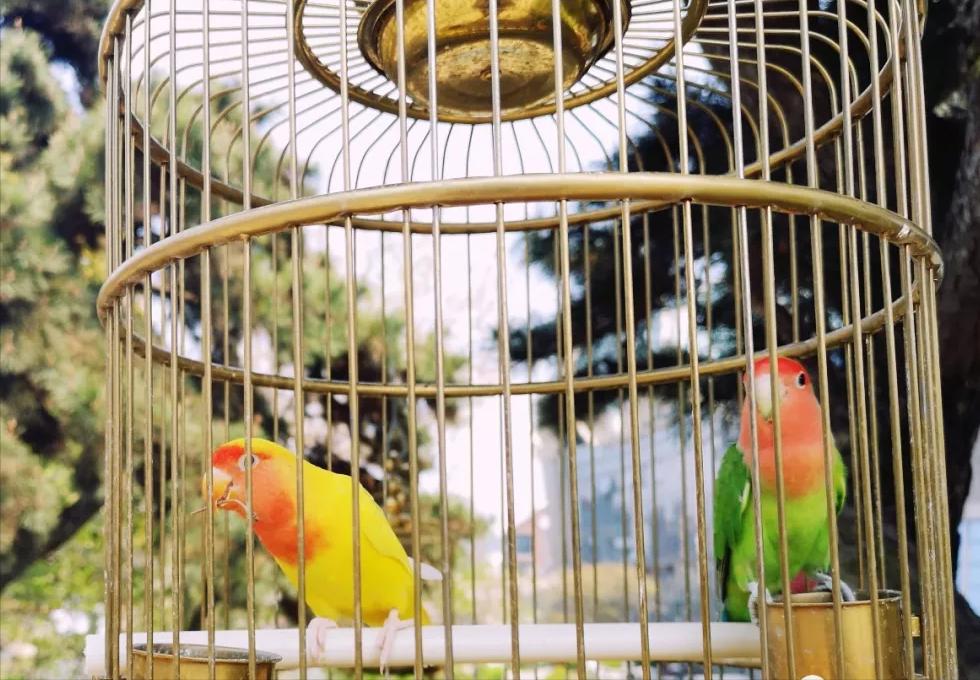 口周皮炎会留印吗,口周皮炎留下色素能好吗