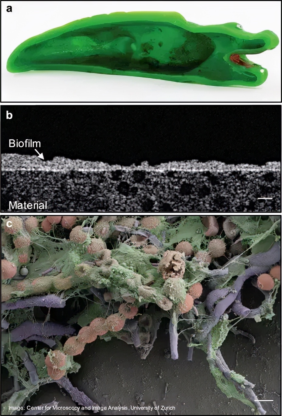 家家都有的四种食物比砒霜还毒,十大危险的母婴用品