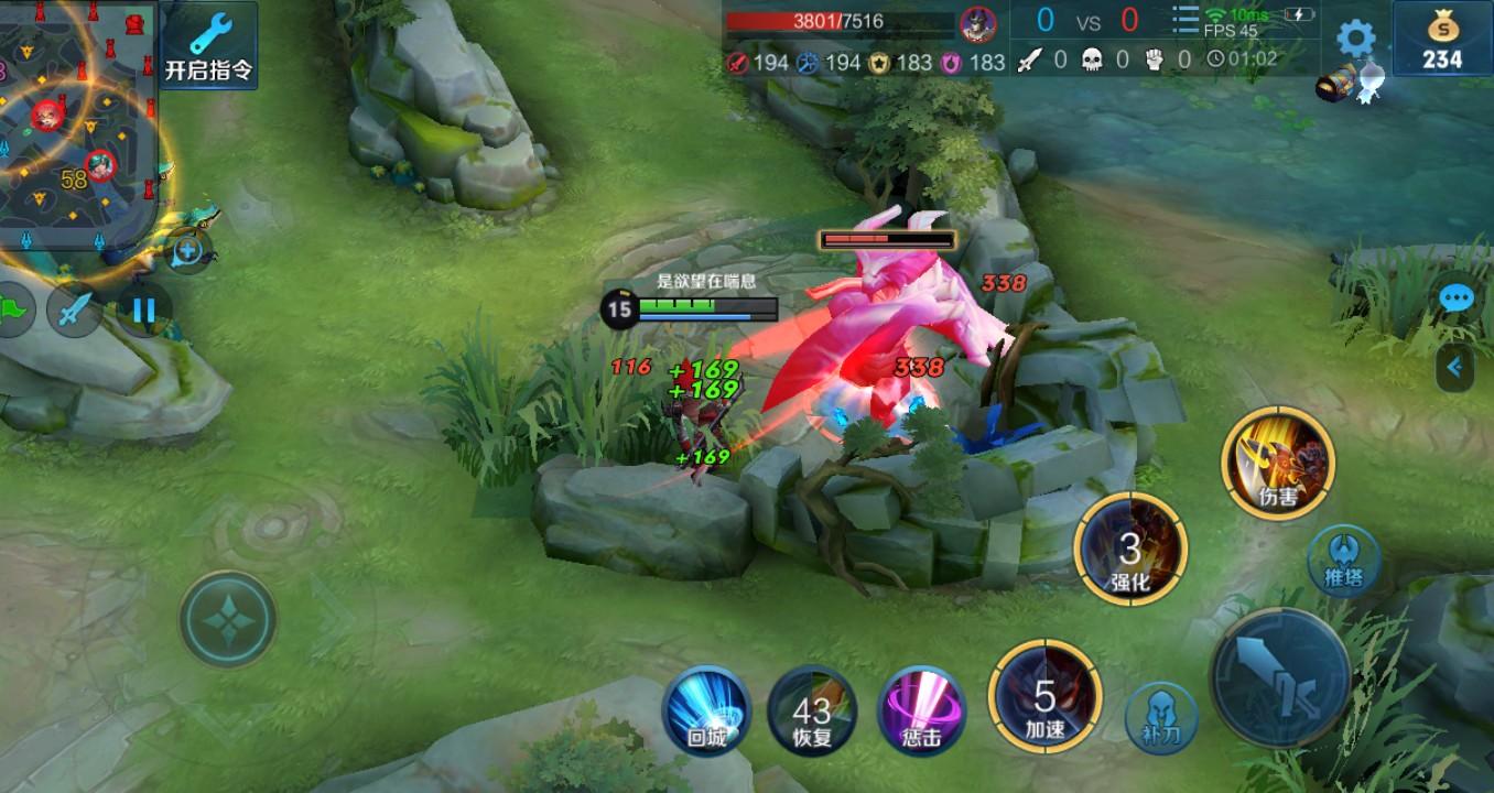 王者荣耀各种段位适合用的英雄,王者荣耀荣耀局最常见的英雄