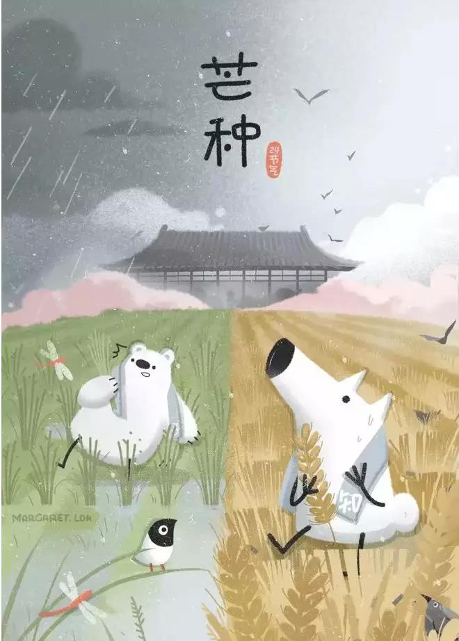 芒种后吃什么养生,芒种养生常识图文