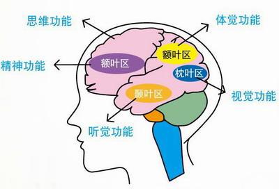 如何学会学习——科学学习高效学习
