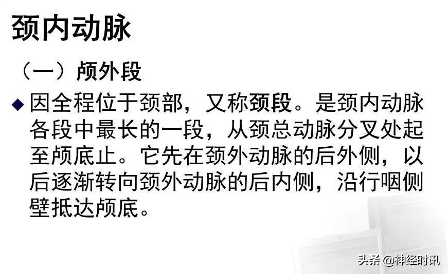 脑动脉解剖学讲解,脑膜中动脉解剖讲解