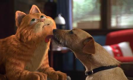 你是否也是猫奴呢？这只好吃懒*爱做**欺负其他动物的肥猫你还记得吗