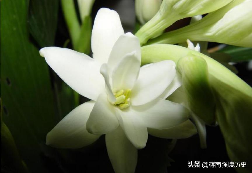 时光流逝岁月不饶人老照片,时光一去不复返再来一张老照片