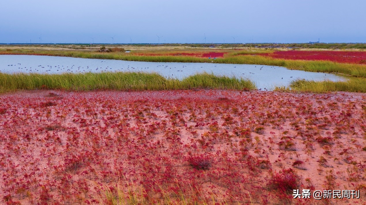 江苏盐城100万亿项目,东台108亿级别的项目