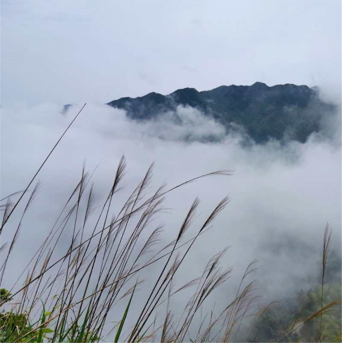 广西桂林摩托车骑行龙胜,广西桂林恭城摩托车行