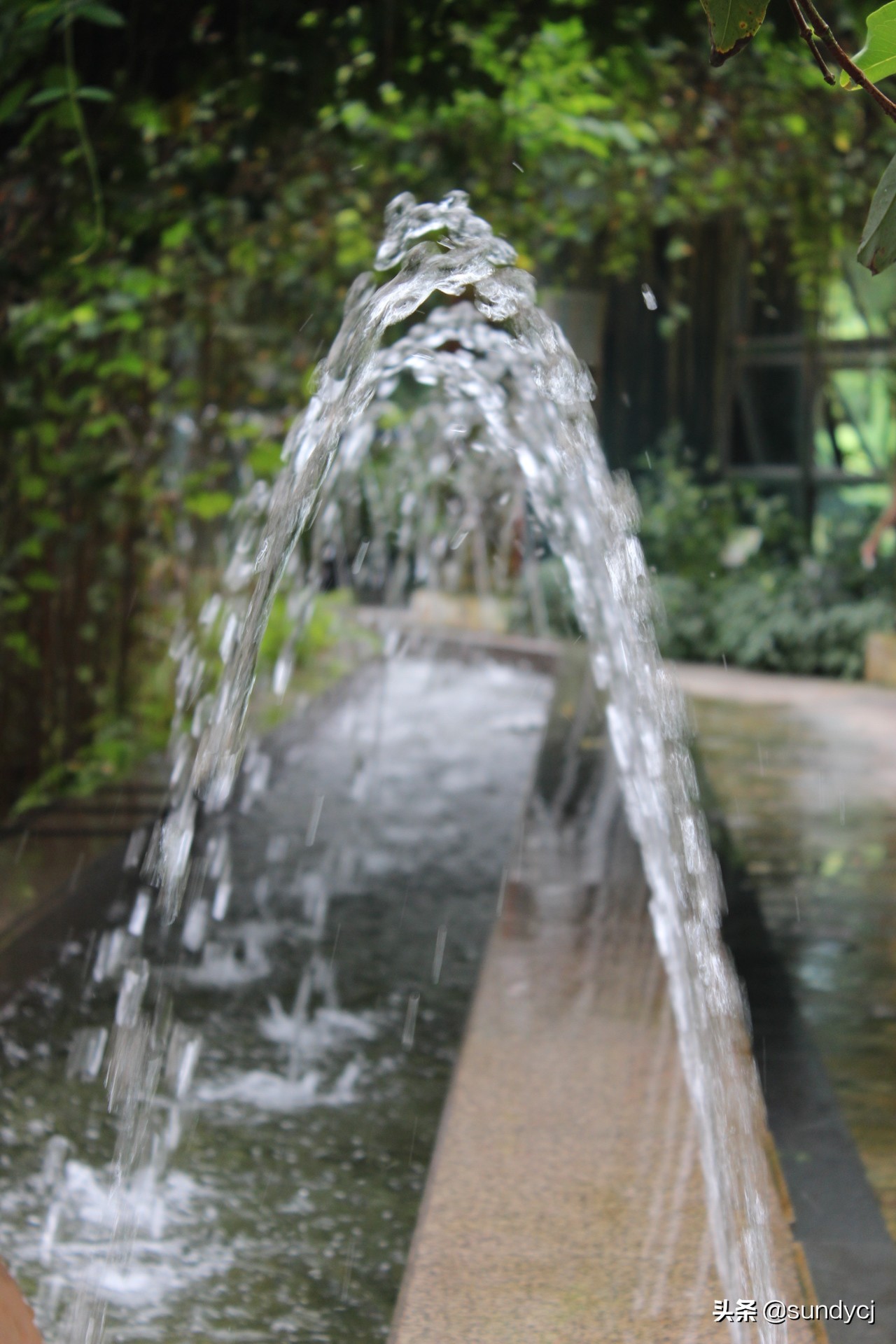 小奔奔,长安新能源奔奔自驾游西藏