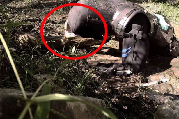 被巨蟒吞了怎么办,被巨蟒吞了的实验