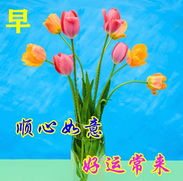 早安正能量句子带图片大雪,大雪天早安语图片