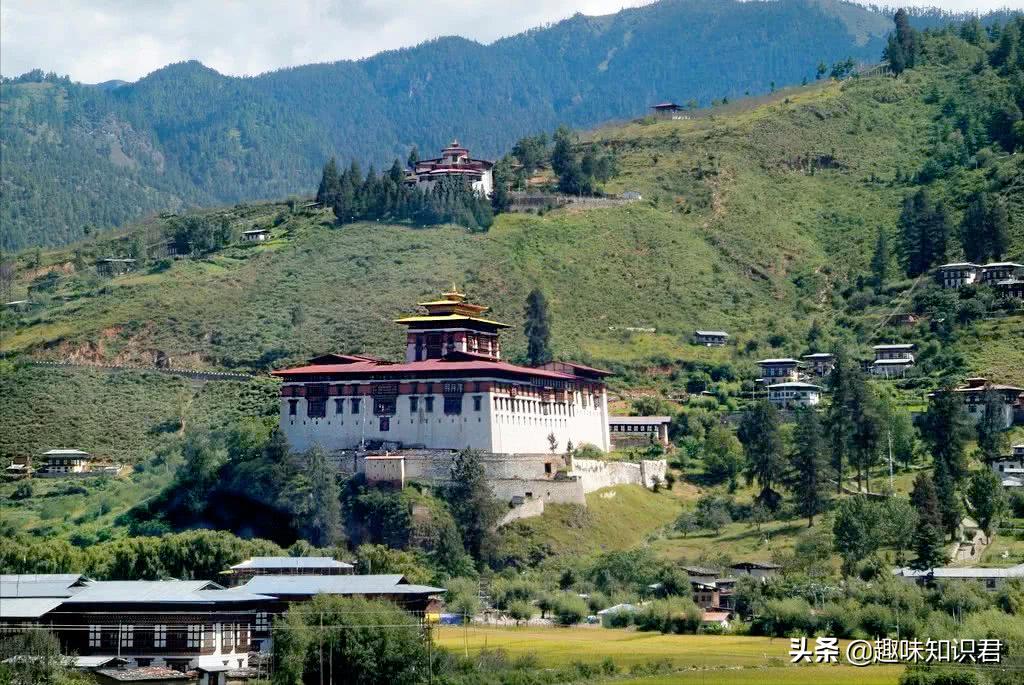 每日更新科普各种奇妙冷知识,小知识科普冷知识