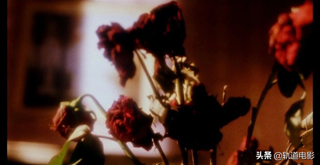 张国荣风月解说,张国荣风月混剪