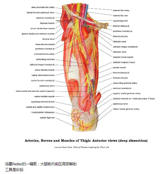 医学生跨界,医学生跨界看医生