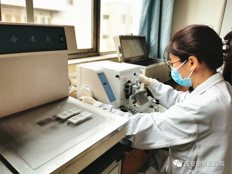 穿刺病理分析为什么那么慢,快病理和慢病理有啥区别