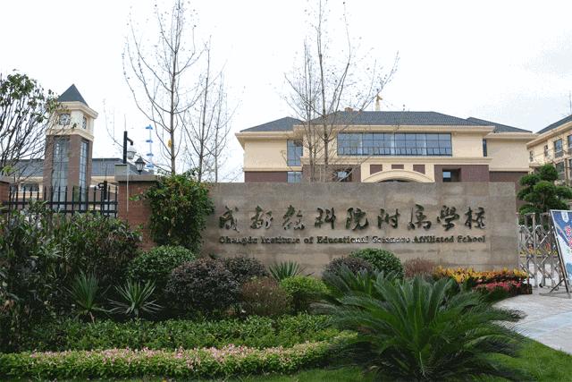 大源片区小学排名,高新区大源片区学校排名