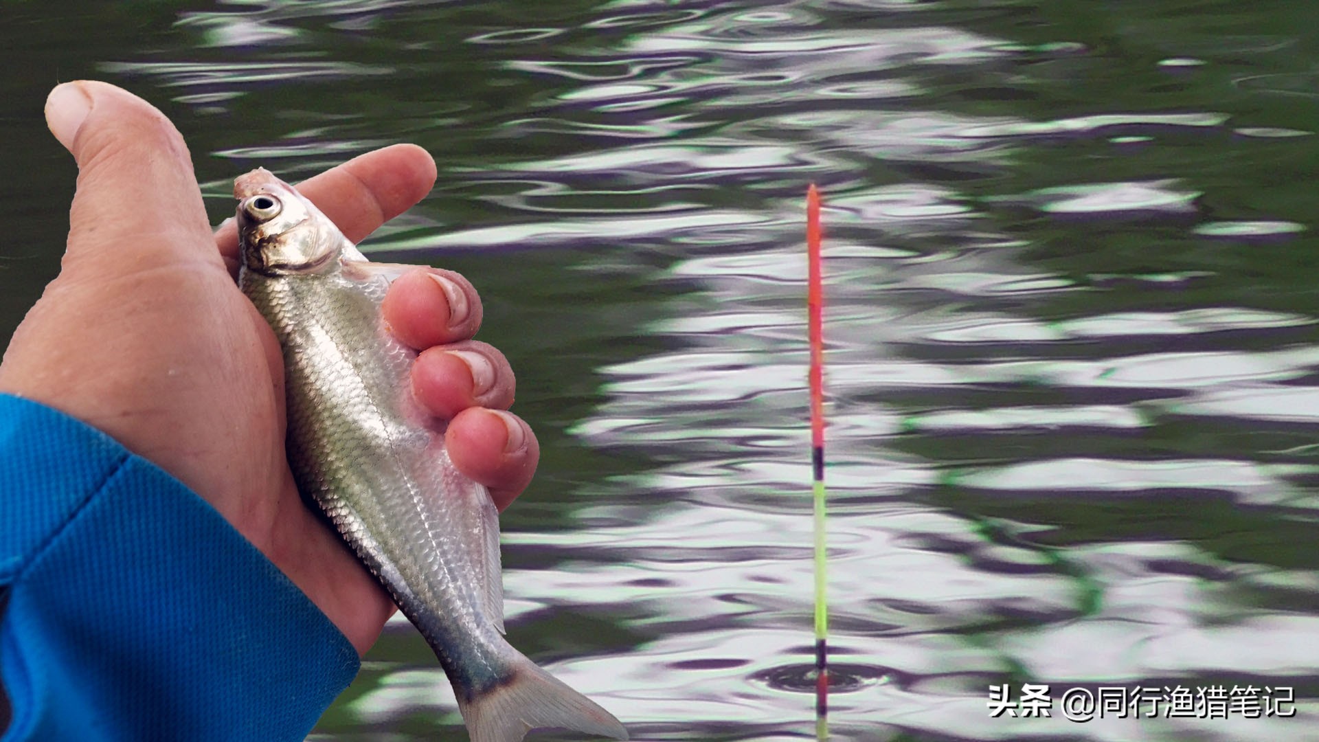 空钩半水调漂的正确视频,空钩半水调漂的正确方法