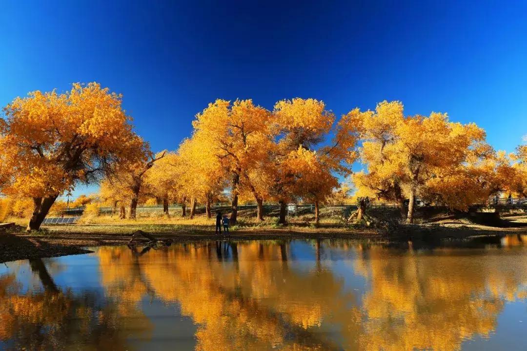 2019必去的旅行地,8月最新旅行地推荐