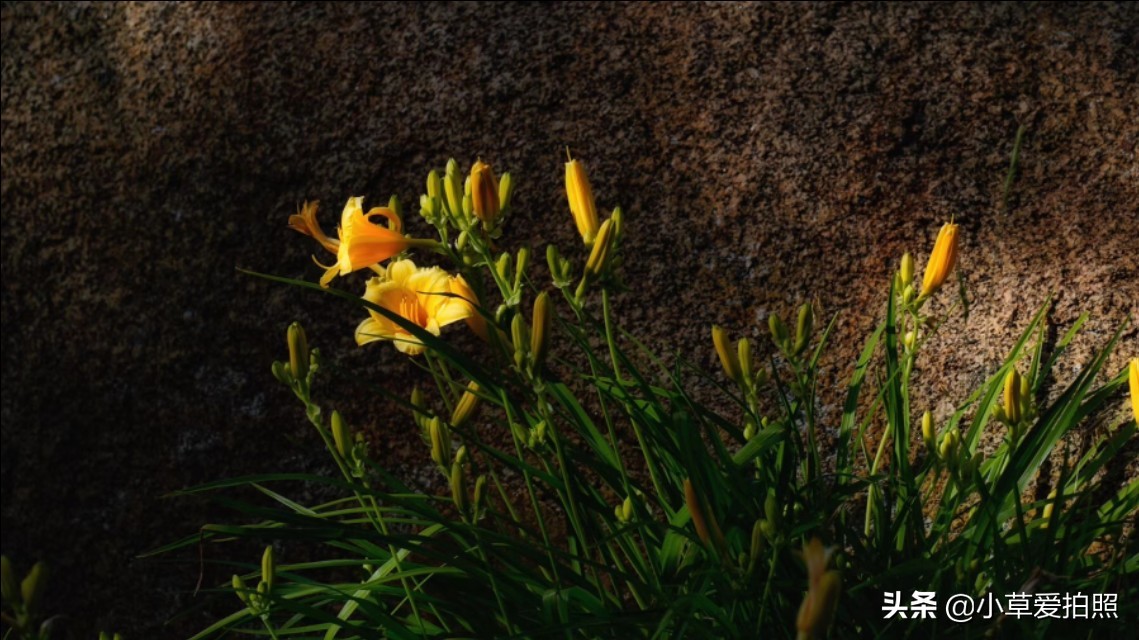 威海羊亭公园有什么好玩的,威海羊亭湿地公园四季美景