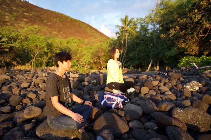 宠物美容专业的职业规划,宠物美容的理解与想法