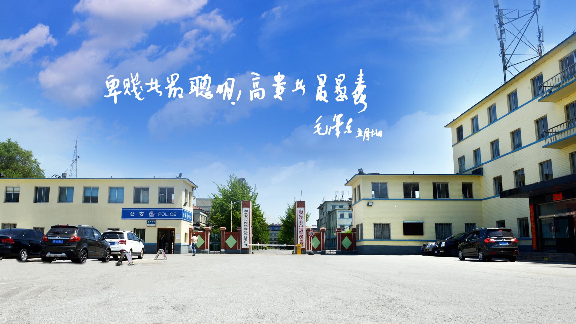 辽宁丹东有几家小巨人企业,辽宁丹东十大企业排名