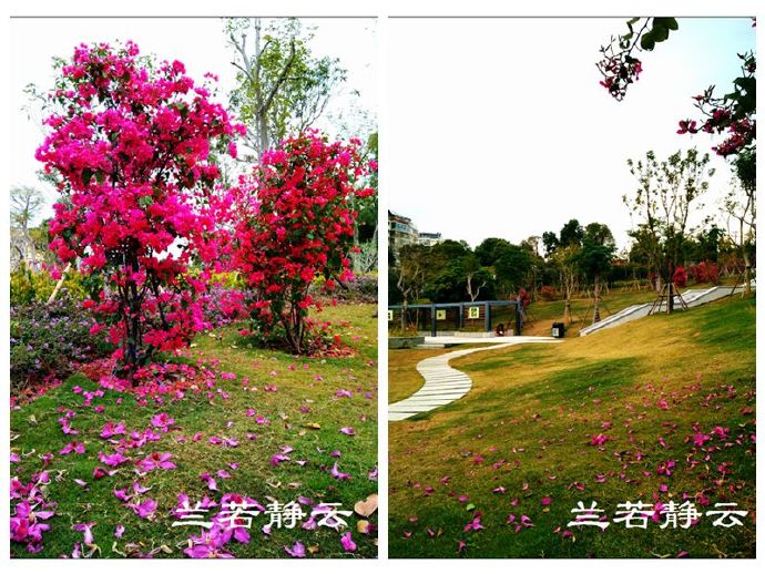 厦门金尚片区房价,金山片区最新消息