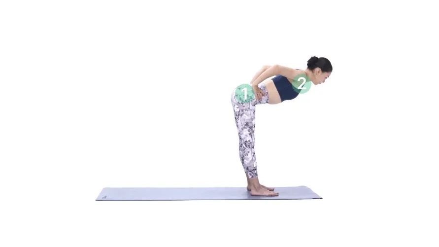 前屈组合练习,立位体前屈动作示范