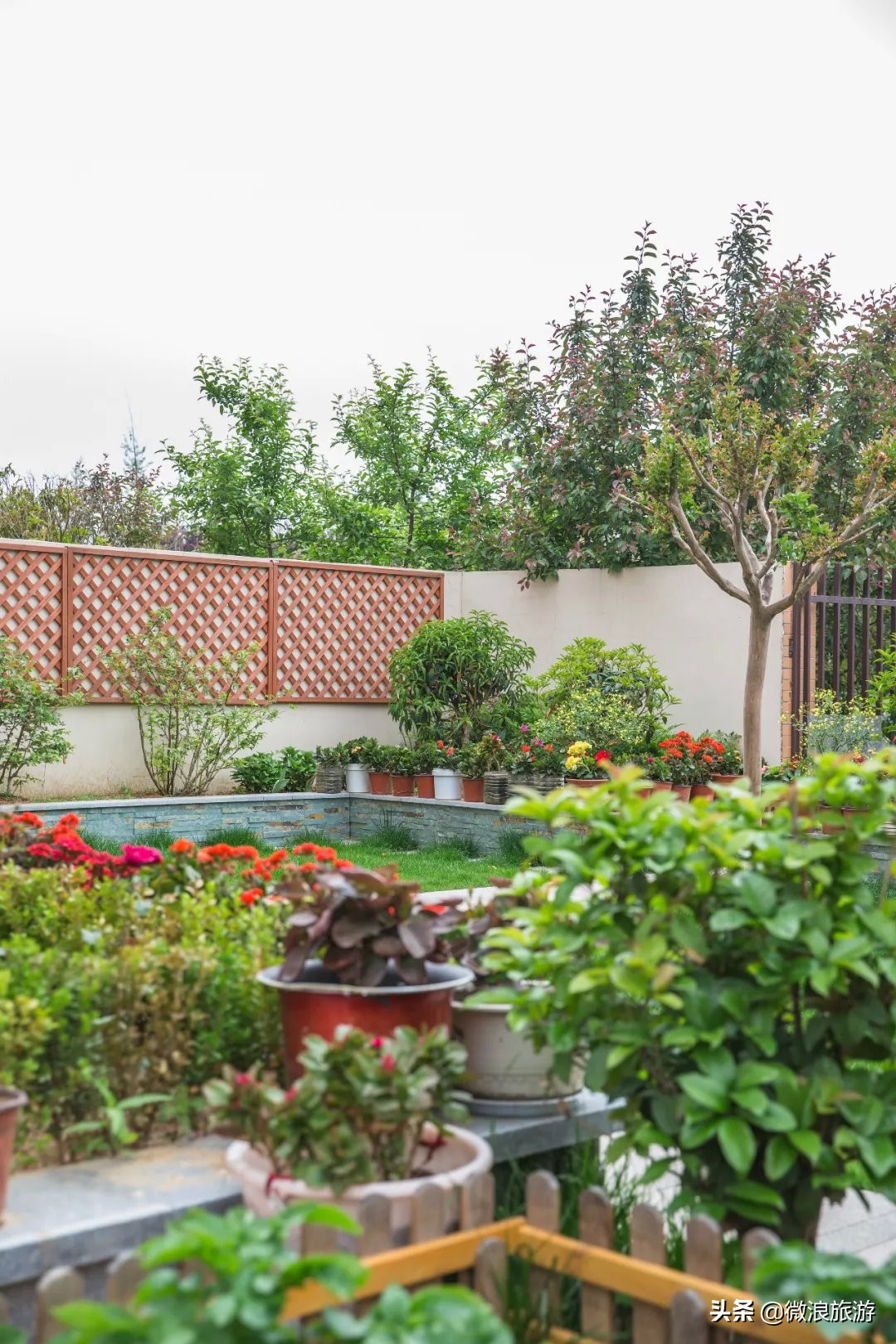 白鹭湾的“选美大赛”，谁是你心中最美的“姑娘”