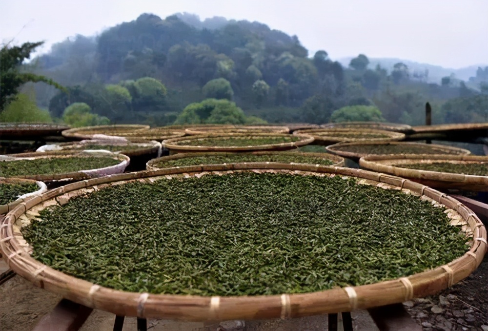 茶知识普及讲解普洱茶,普洱茶的等级之分科普