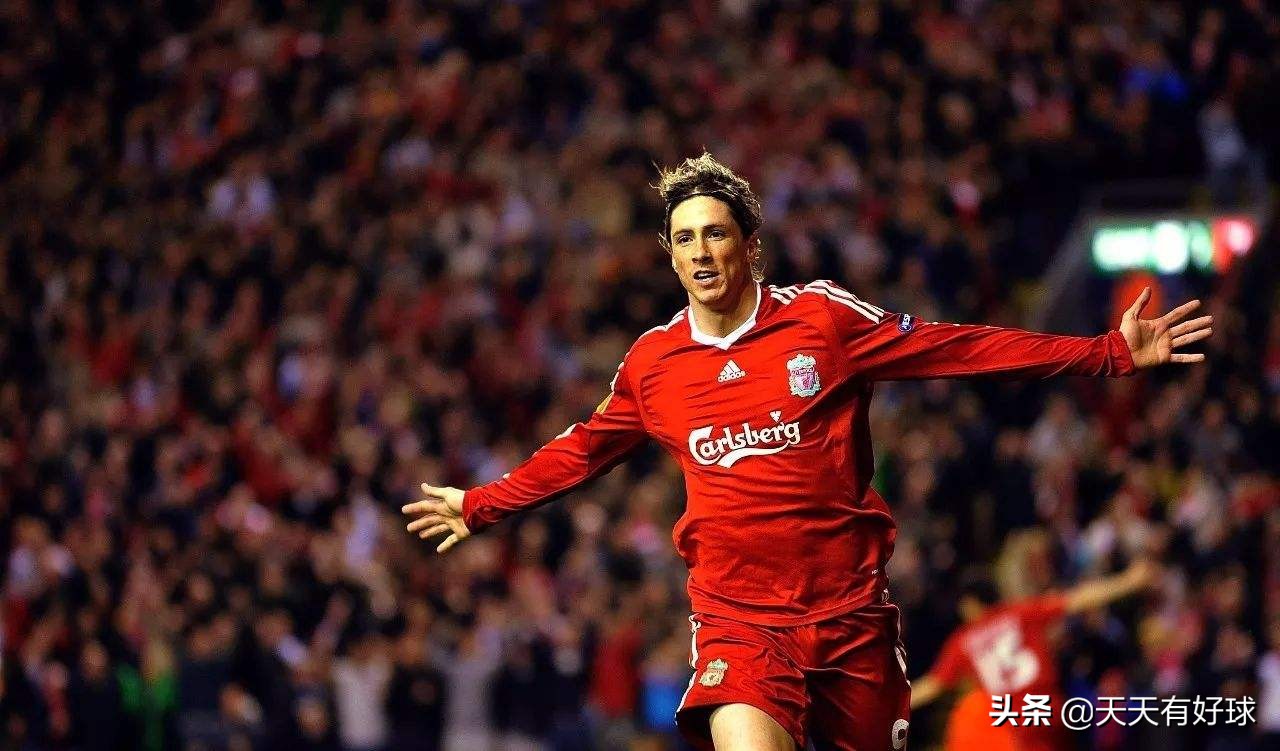 费尔南多托雷斯现状,费尔南多托雷斯生涯历程