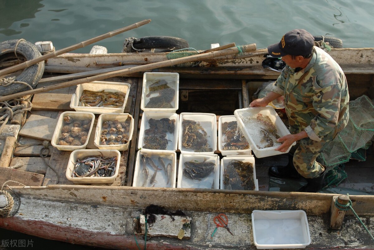 隔夜蟹、死螃蟹为何不能吃？男子吃隔夜蟹患上脑膜炎，关于螃蟹的正确吃法有两点要强调