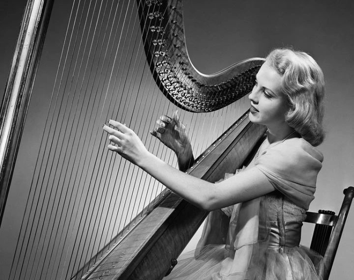 冷门却很惊艳的乐器,十大最有气质的乐器适合女生