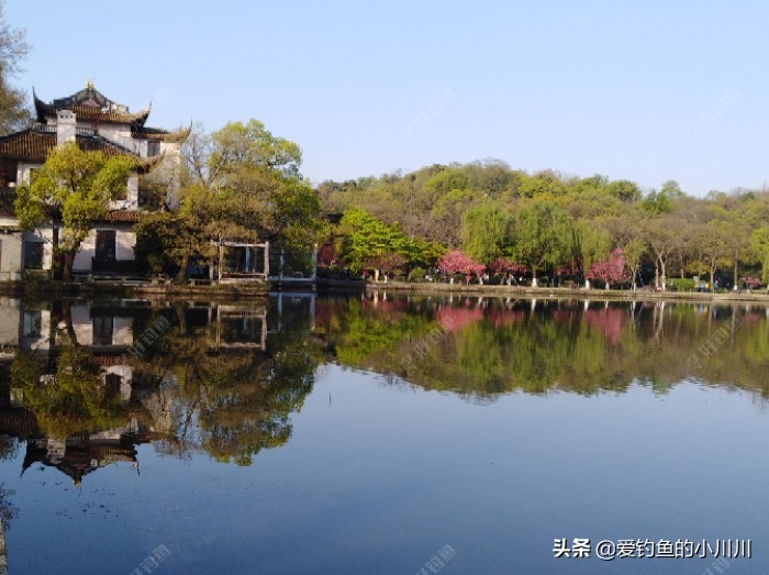 聊下找口与抓口的问题个人见解