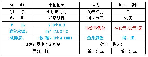 小型观赏鱼不用加热的都有什么鱼,小型观赏鱼小鱼苗