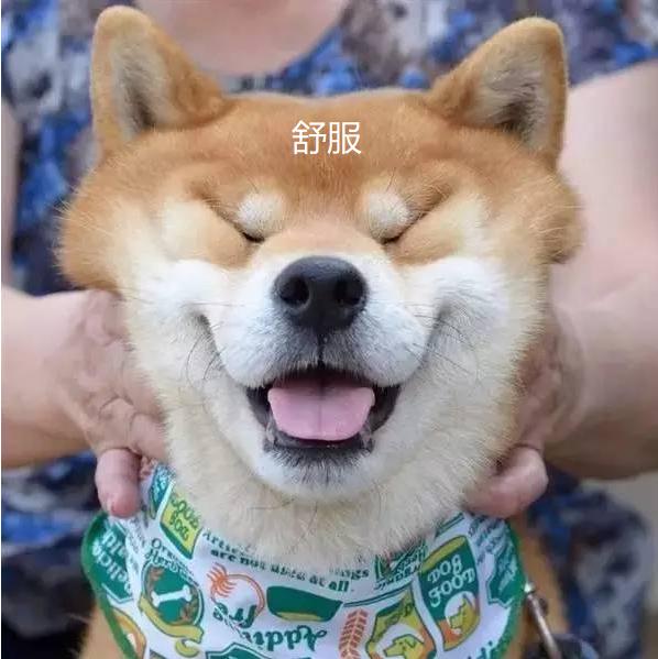 休闲运动鞋便宜没好货？硬核测试美国名牌、淘宝小米有品百元爆款