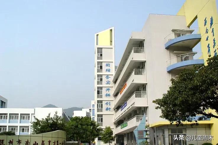 深圳南山区比较好的公立小学,深圳小学龙岗学校排行