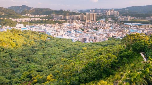 东莞三正半山酒店玩转星球,东莞三正半山酒店冬天